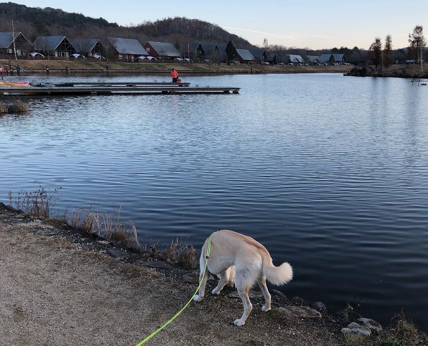 湖のまわりの散歩道